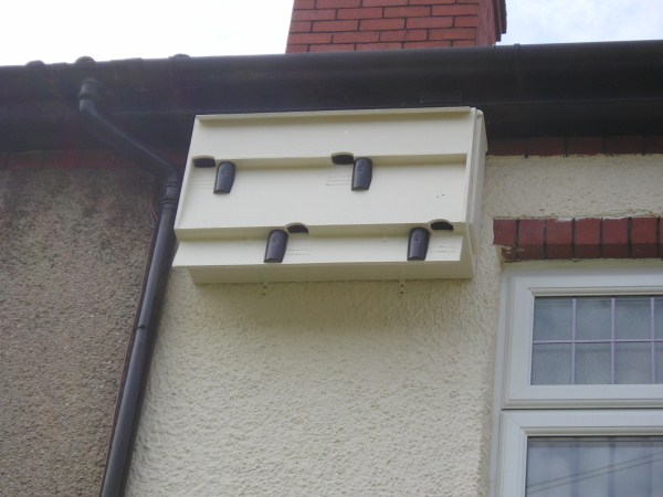 Swift Boxes with sections of drainpipe 2010