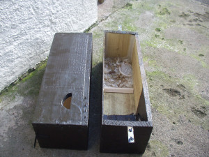 swift nest box 2005
