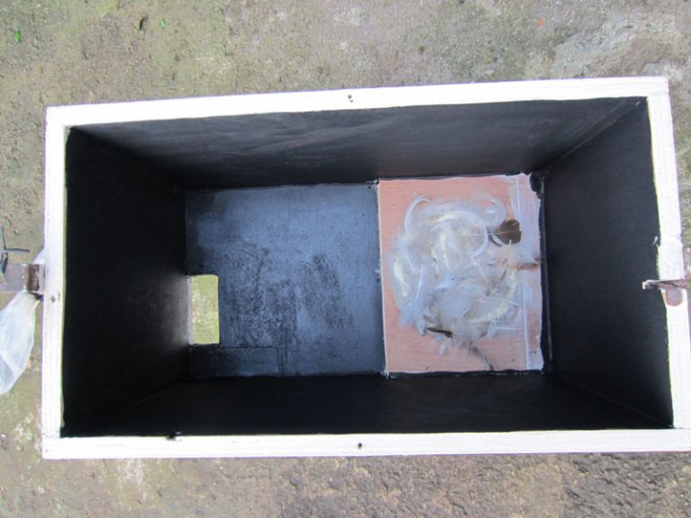 Swift nest box designs free instructions for eaves and corner swift boxes